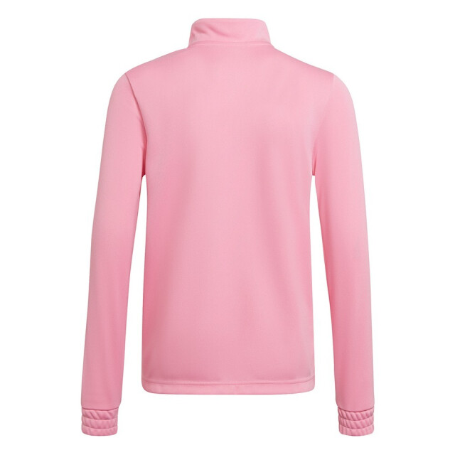 Adidas Kinderen/kinderen entrada 22 trainings sweatshirt UTMR1663_pink large