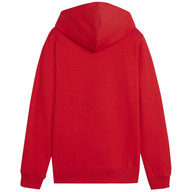 Puma Kinderen/kinderen team goal casual hoodie UTMR1654_red large