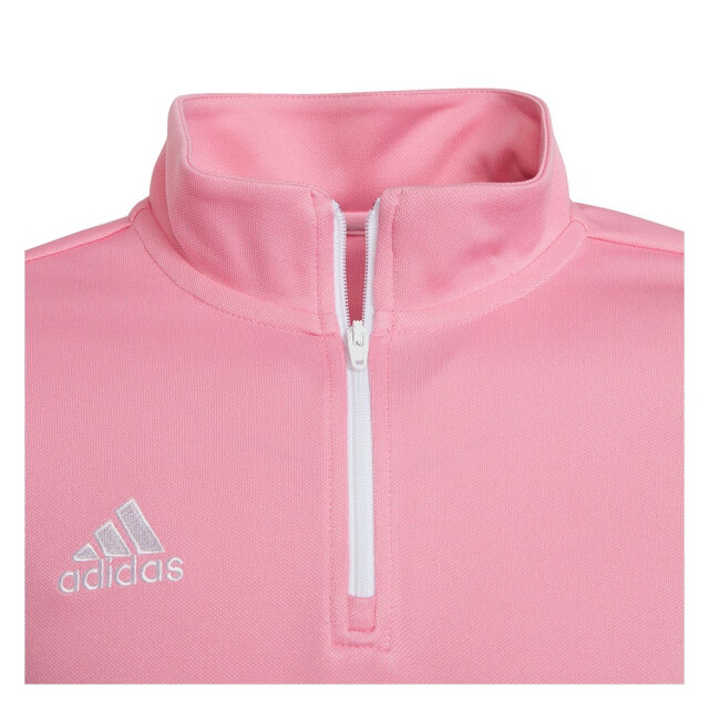 Adidas Kinderen/kinderen entrada 22 trainings sweatshirt UTMR1663_pink large