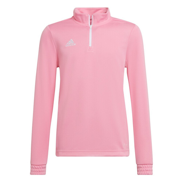 Adidas Kinderen/kinderen entrada 22 trainings sweatshirt UTMR1663_pink large