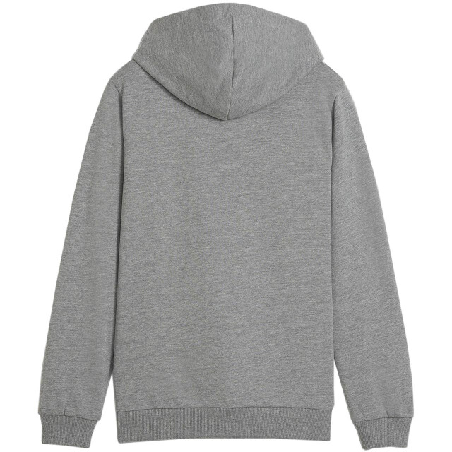 Puma Kinderen/kinderen team goal casual hoodie UTMR1654_grey large