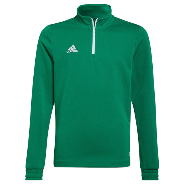 Adidas Kinderen/kinderen entrada 22 trainings sweatshirt UTMR1614_green large