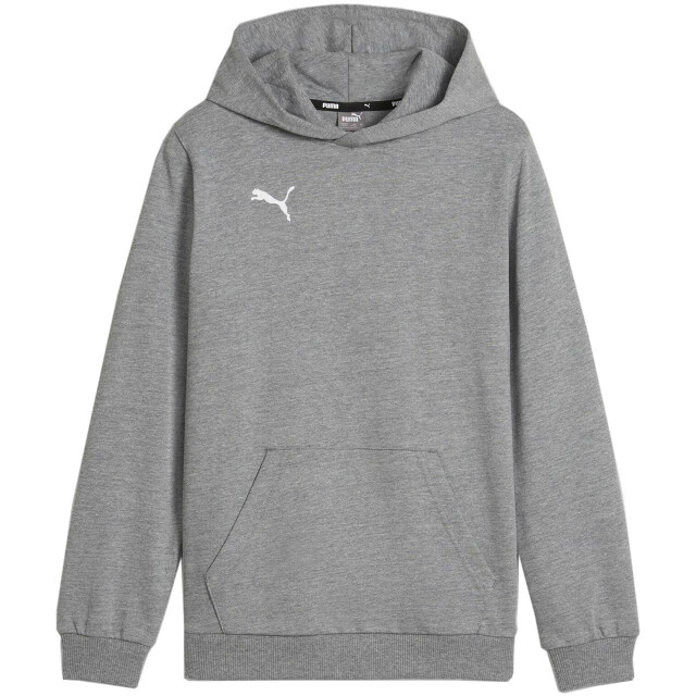 Puma Kinderen/kinderen team goal casual hoodie UTMR1654_grey large