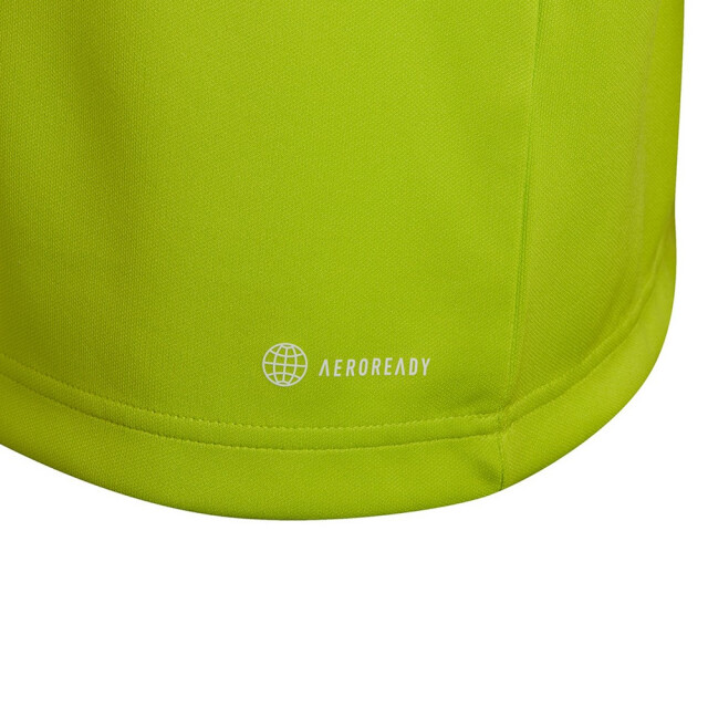 Adidas Kinderen/kinderen entrada 22 trainings sweatshirt UTMR1663_lime large
