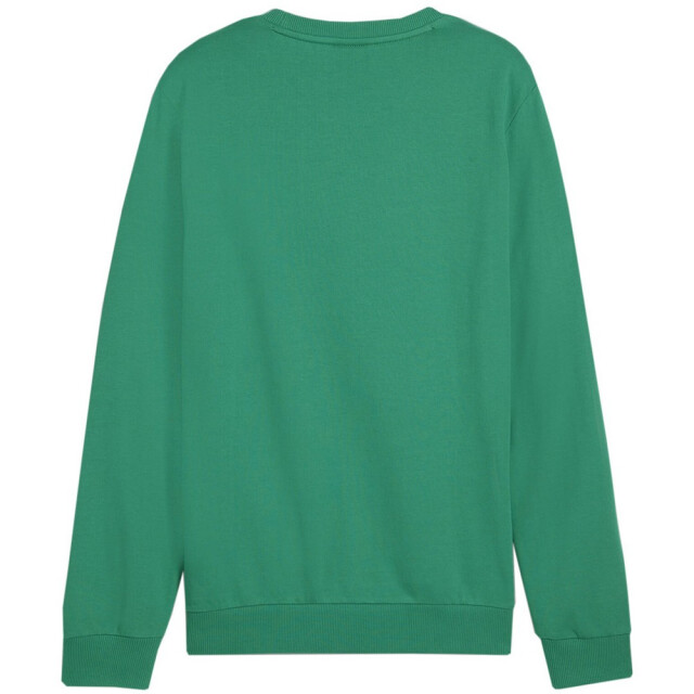 Puma Heren team doel sweatshirt UTMR1446_green large