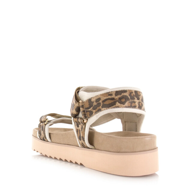 Maruti beau sandalen luipaardprint plateau sandalen dames 66.1653.01-DJN large