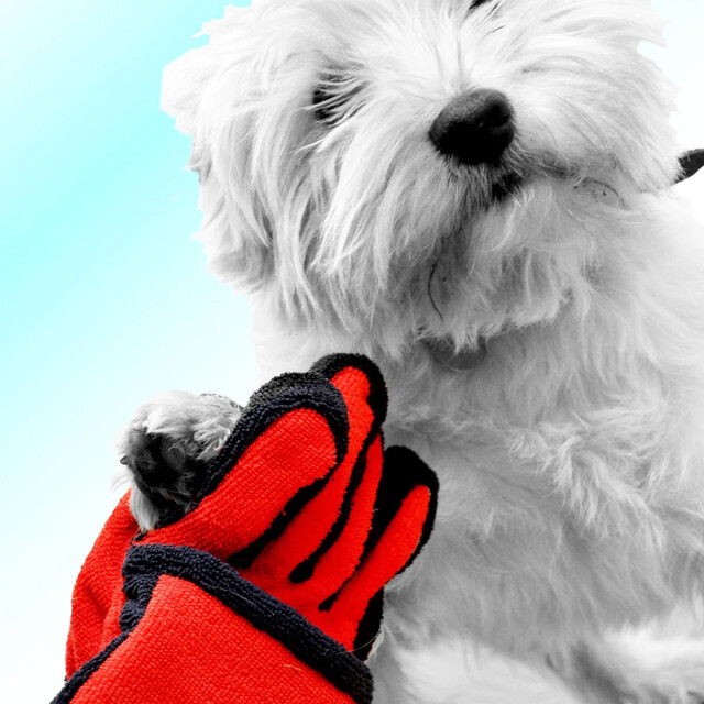 CaliCosy Wasdoek voor dieren 2931610 large