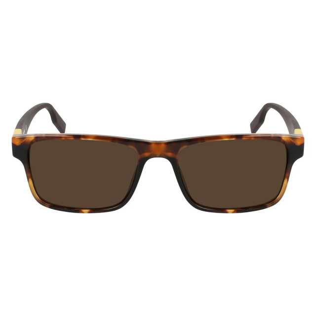 Converse Brown acetate sunglasses Converse Bruin Zonnebril large