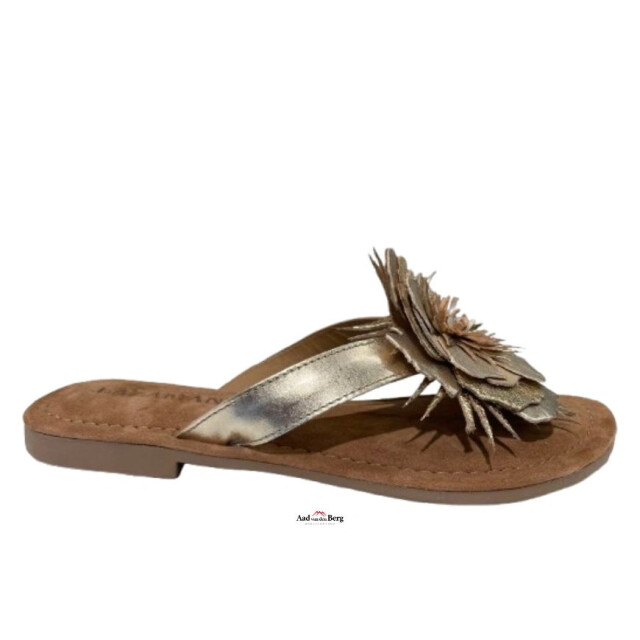 Lazamani Damesschoenen slippers LA33518 large