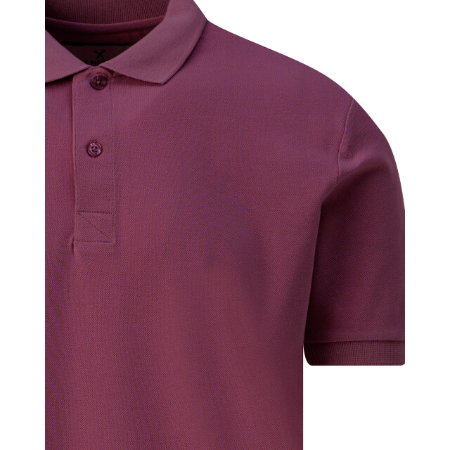 The Blueprint Polo met korte mouwen 078197-015-XXL large