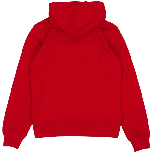 Champion Heren rs054 hoodie UTMR1679_red large