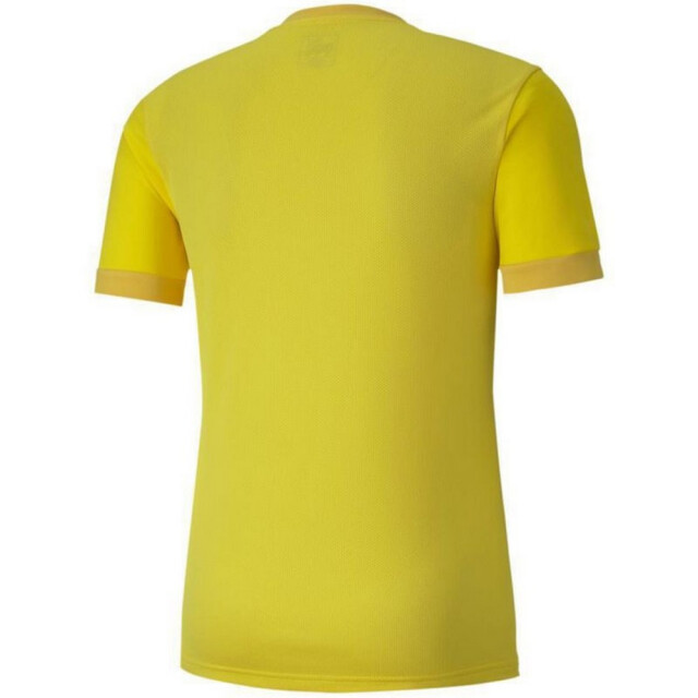 Puma Heren teamgoal 23 jersey UTMR605_yellow large
