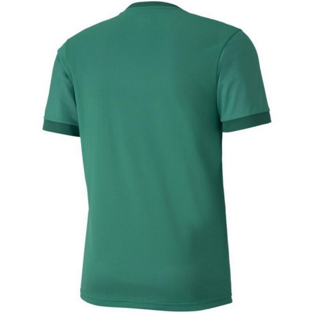 Puma Heren teamgoal 23 jersey UTMR605_green large