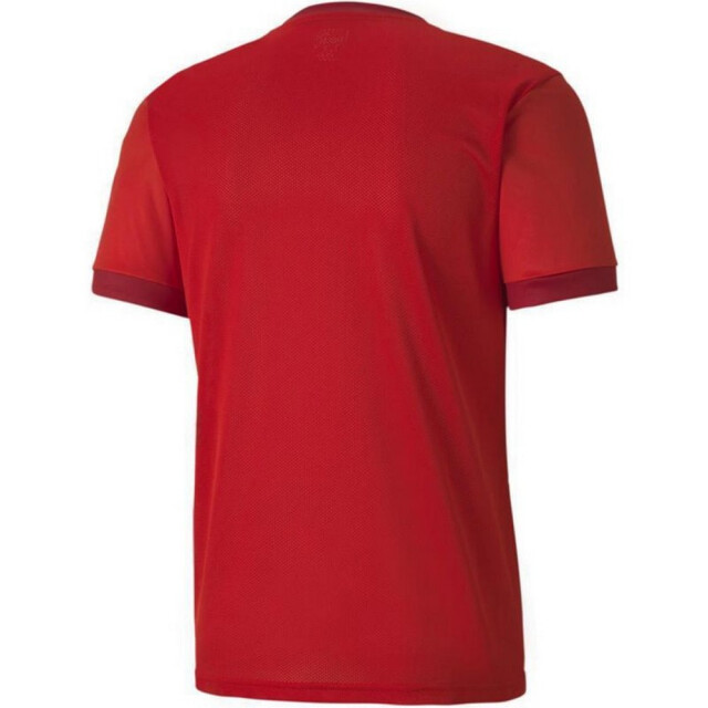 Puma Heren teamgoal 23 jersey UTMR605_red large