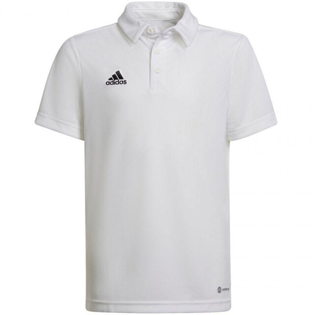 Adidas Kinder/kinder entrada 22 poloshirt UTMR213_white large