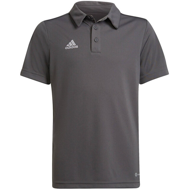 Adidas Kinder/kinder entrada 22 poloshirt UTMR213_greysilver large