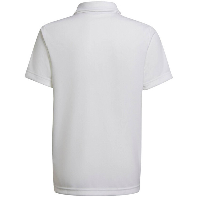 Adidas Kinder/kinder entrada 22 poloshirt UTMR213_white large