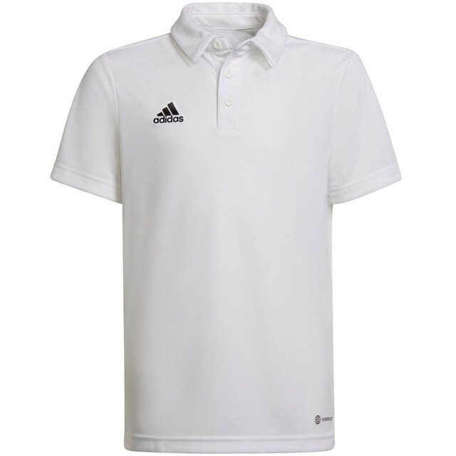 Adidas Kinder/kinder entrada 22 poloshirt UTMR213_white large