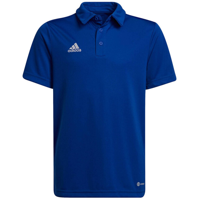 Adidas Kinder/kinder entrada 22 poloshirt UTMR213_blue large