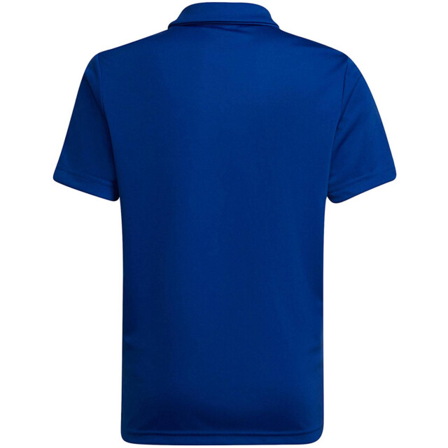 Adidas Kinder/kinder entrada 22 poloshirt UTMR213_blue large