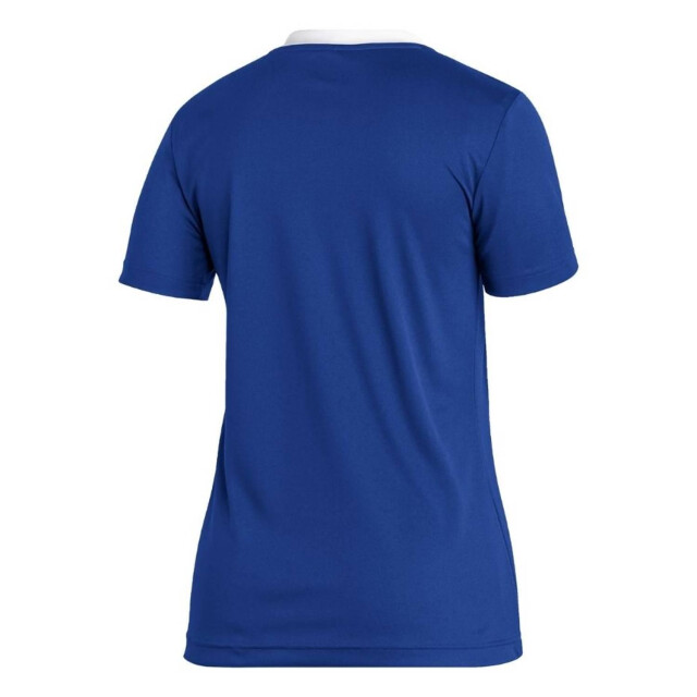 Adidas Dames entrada 22 jersey UTMR215_blue large