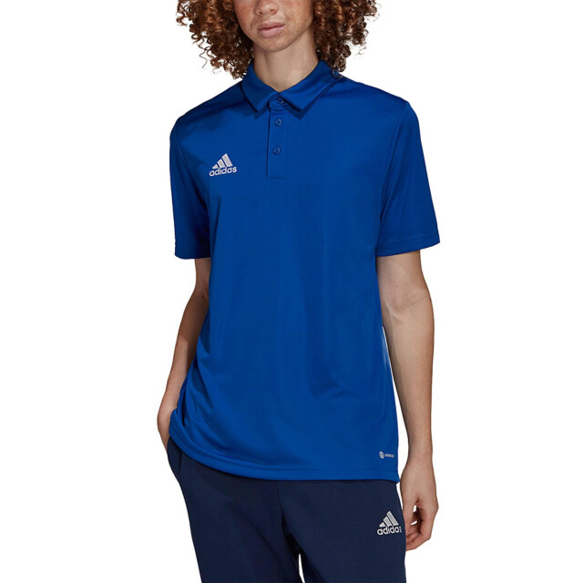 Adidas Heren entrada 22 poloshirt UTMR218_blue large