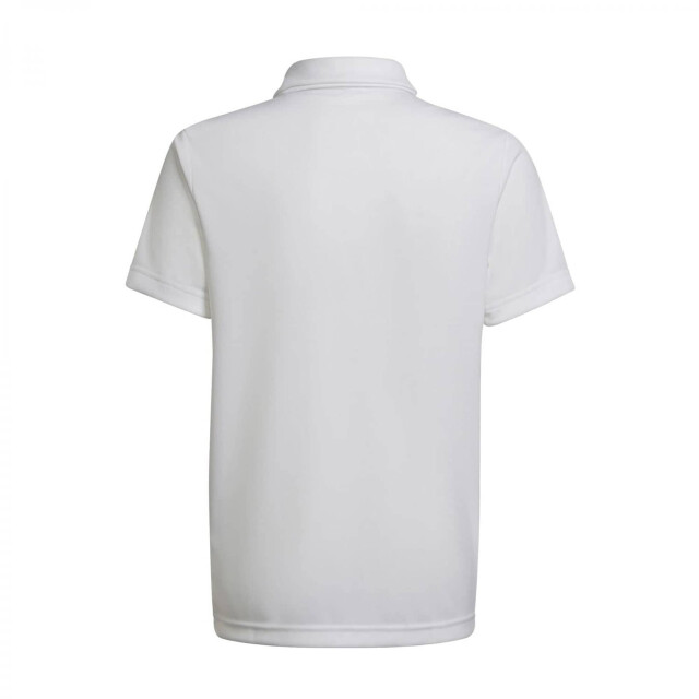 Adidas Heren entrada 22 poloshirt UTMR218_white large