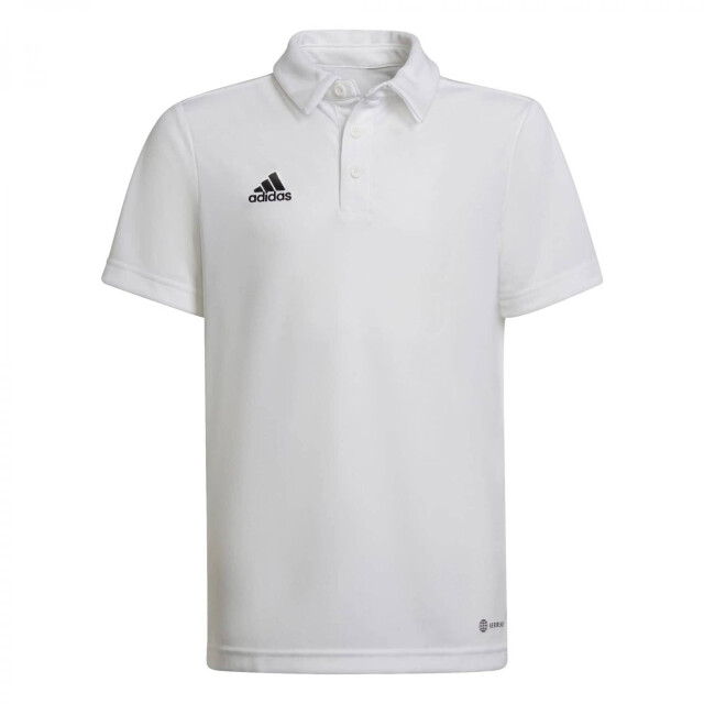 Adidas Heren entrada 22 poloshirt UTMR218_white large