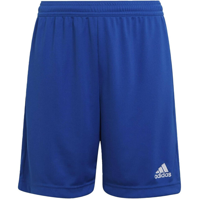 Adidas Dames entrada 22 trainingsbroek sweat shorts UTMR231_blue large