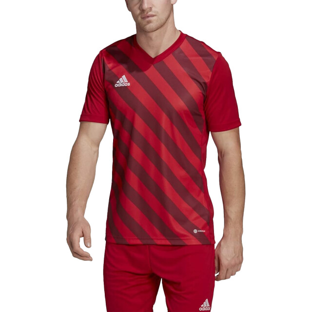 Adidas Heren entrada 22 grafische trui UTMR300_red large