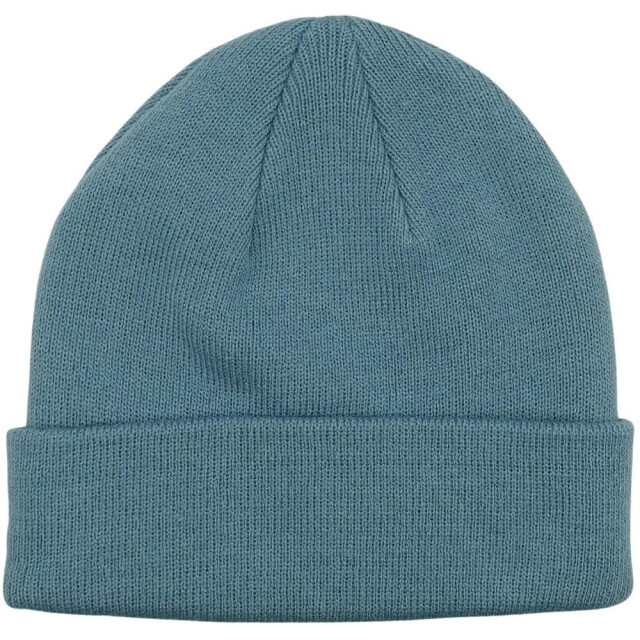 Champion Geborduurde logo beanie UTMR311_blue large