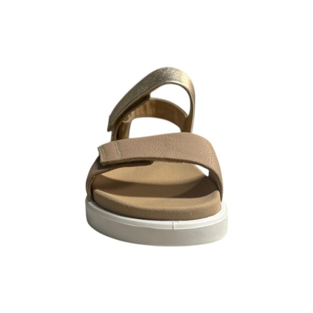 Ara 12-21401 12-21401 MADEIRA large