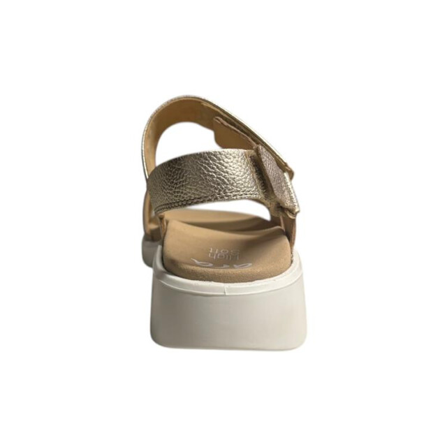 Ara 12-21401 12-21401 MADEIRA large