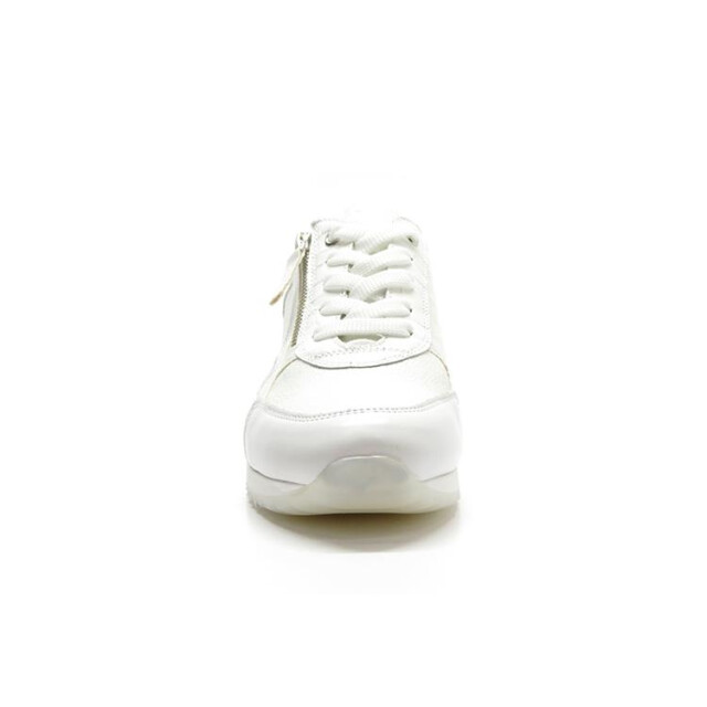 DL Sport 6217 6217 large