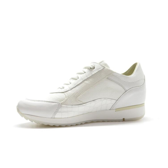 DL Sport 6217 6217 large