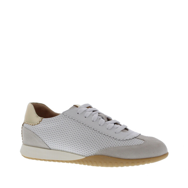 Rapid Soul Wiskje perfo dunne zool | dames | maat: | combinatie 110011 large