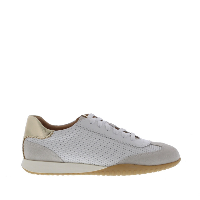 Rapid Soul Wiskje perfo dunne zool | dames | maat: | combinatie 110011 large