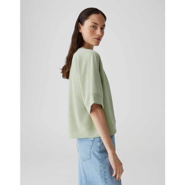 Opus ginus 1039874829100 ginus 300 green glow 06011.369.0158 large