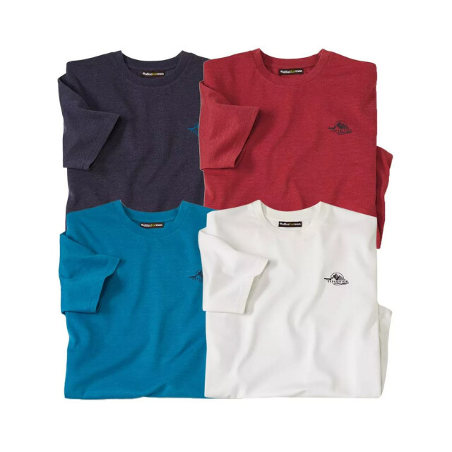 Atlas For Men Heren t-shirt met ronde hals (pak van 4) UTAF168_multicoloured large