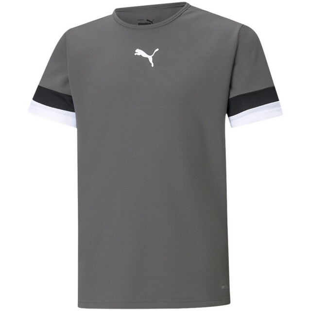 Puma Teamrise-trui voor kinderen UTMR1237_grey large