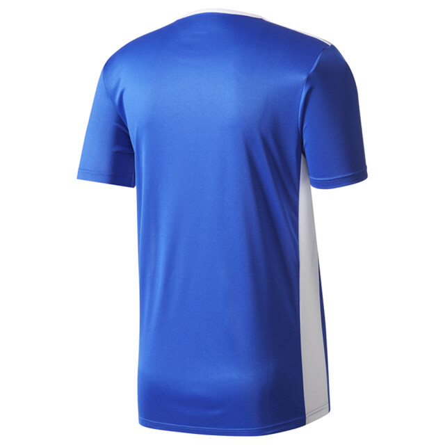 Adidas Kinder/kids entrada 18 jersey UTMR790_blue large