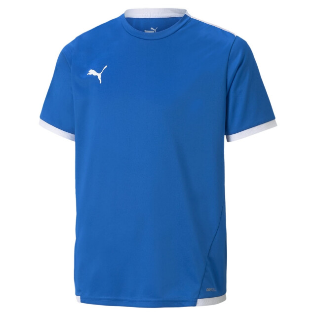 Puma Teamliga-trui voor kinderen UTMR942_blue large