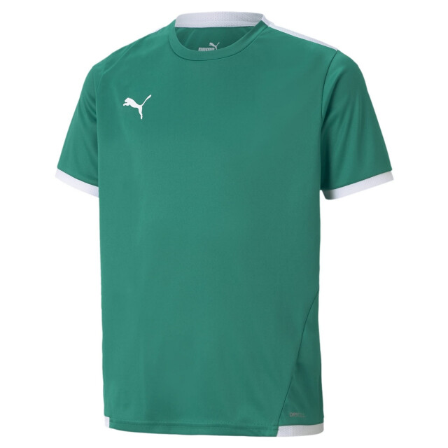 Puma Teamliga-trui voor kinderen UTMR942_green large