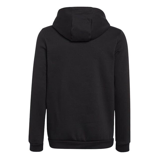 Adidas Kinderen/kinderen entrada 22 hoodie UTMR429_black large