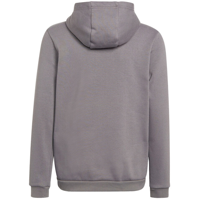 Adidas Kinderen/kinderen entrada 22 hoodie UTMR429_greysilver large