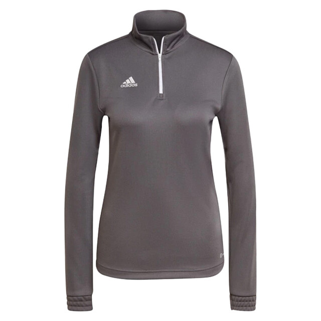 Adidas Dames entrada 22 sweatshirt UTMR424_greysilver large
