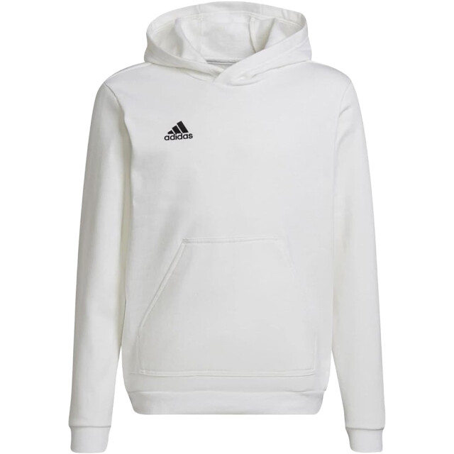 Adidas Kinderen/kinderen entrada 22 hoodie UTMR429_white large