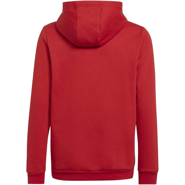 Adidas Kinderen/kinderen entrada 22 hoodie UTMR429_red large