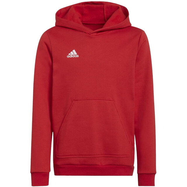 Adidas Kinderen/kinderen entrada 22 hoodie UTMR429_red large