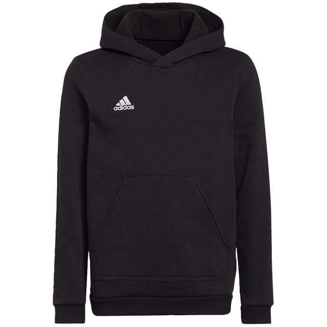 Adidas Kinderen/kinderen entrada 22 hoodie UTMR429_black large